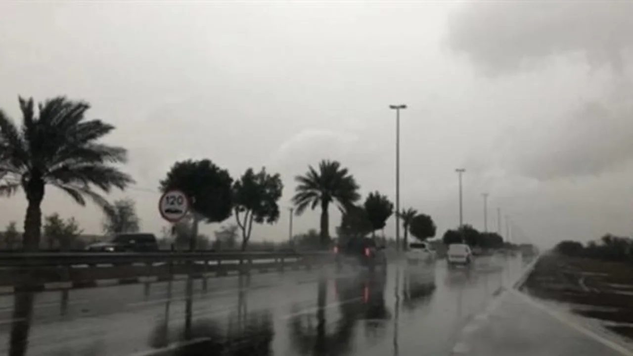 الأرصاد تتوقع طقساً دافئاً نهاراً مع نشاط للرياح خلال يوم الثلاثاء